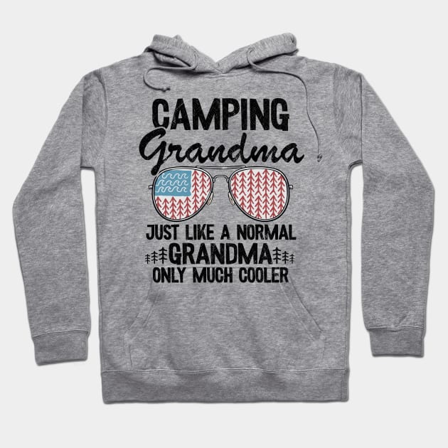 Camping Grandma Just Like A Normal Grandpa Only Much Cooler Funny Camping Hoodie by Kuehni